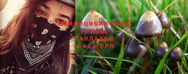 соль курить ск Алексеевка