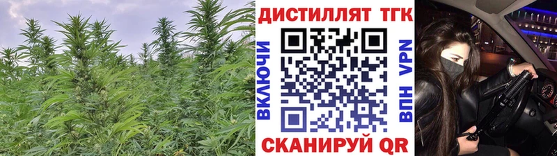 ТГК THC oil  Купить где  Весьегонск 